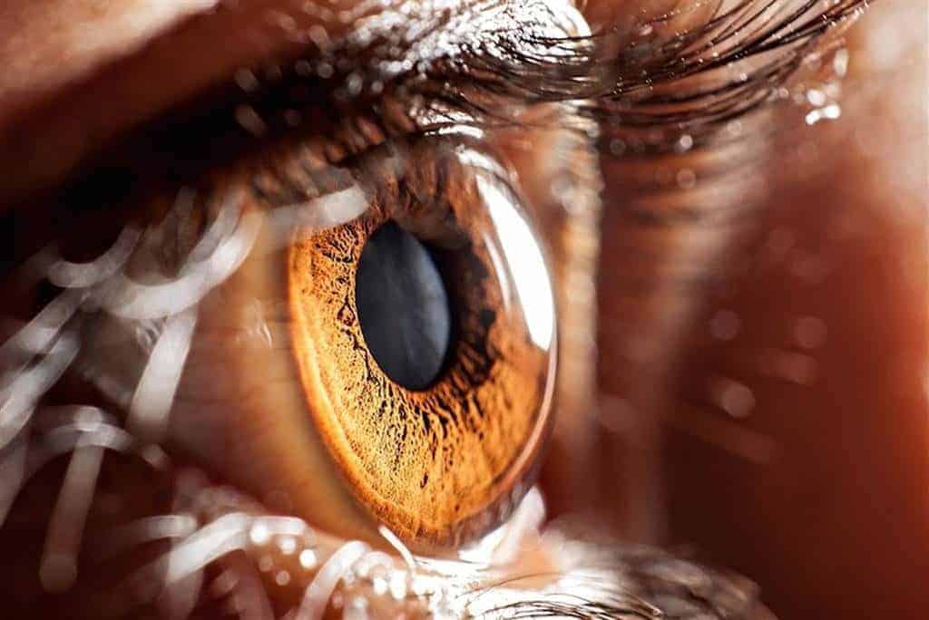 how to improve your eye health