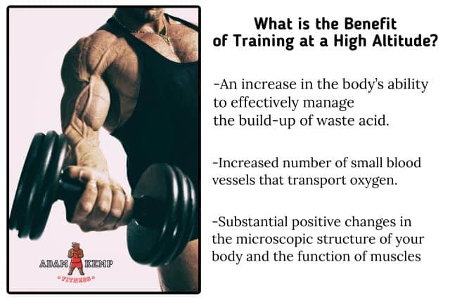 Training Mask Benefits