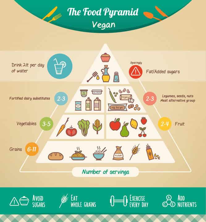 The Best Plant Based Protein Sources