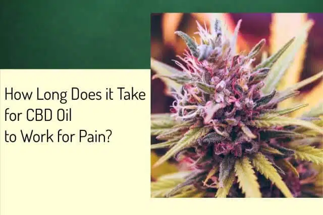 how long does it take for cbd oil to work for pain relief