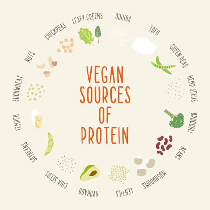 best vegan protein powder 2020