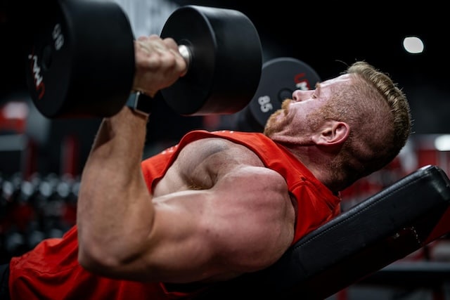 best dumbbell exercises for chest muscles