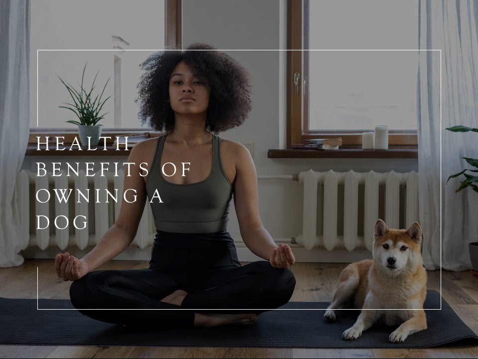 Health Benefits of Owning a Dog