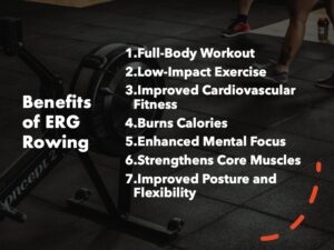 ERG Rowing Machine Benefits, Muscles Worked & How To Use