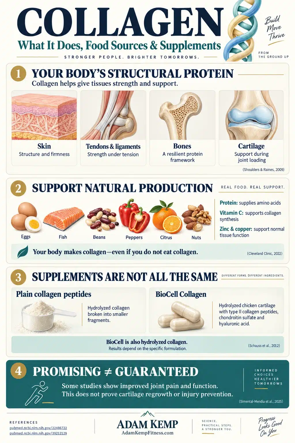 Collagen Guide Infographic