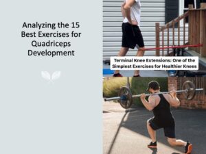 Quacks Exercise The 15 Best Quadriceps Exercises For Strength & Muscle Mass