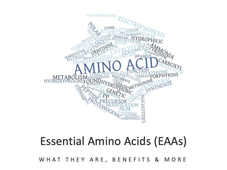 Essential Amino Acids