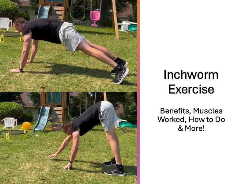 Inchworm Exercise