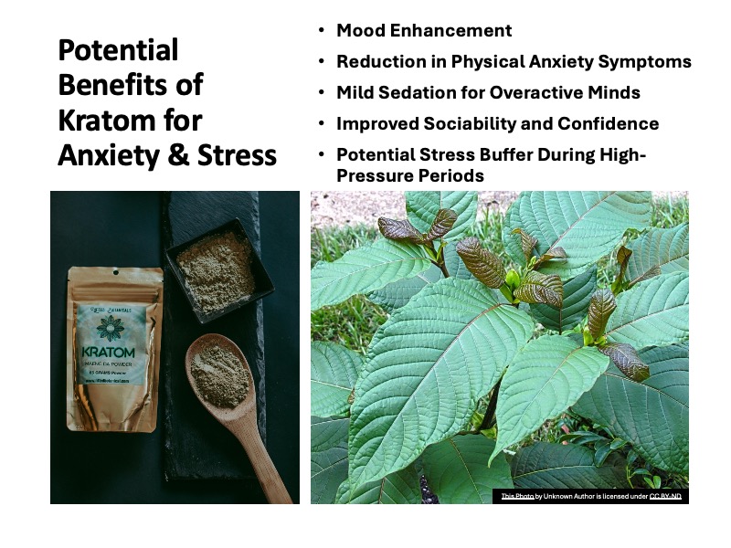Benefits of Kratom for Anxiety and Stress