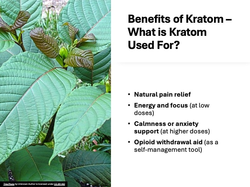 What is Kratom Used for