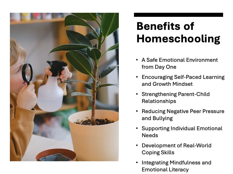 Benefits of Homeschooling
