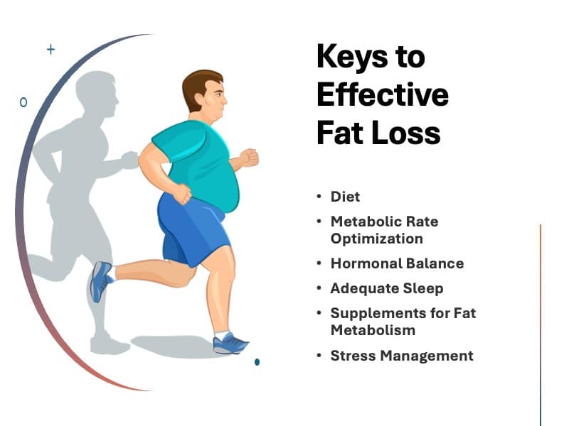 Keys to Effective Fat Loss