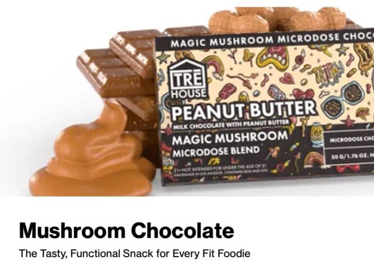 Mushroom Chocolate