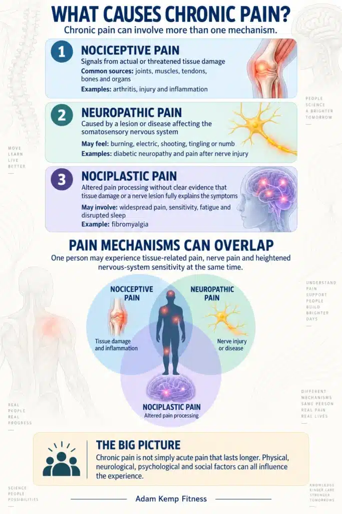 What Causes Chronic Pain