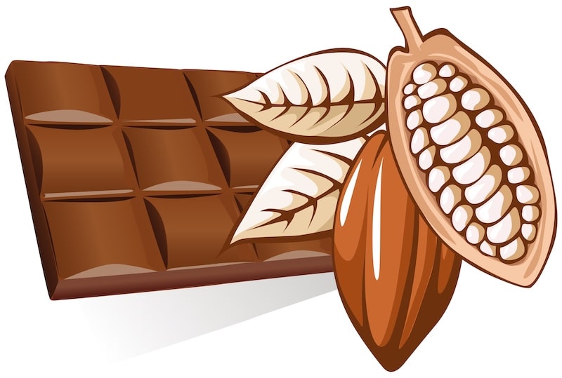 What Is Chocolate