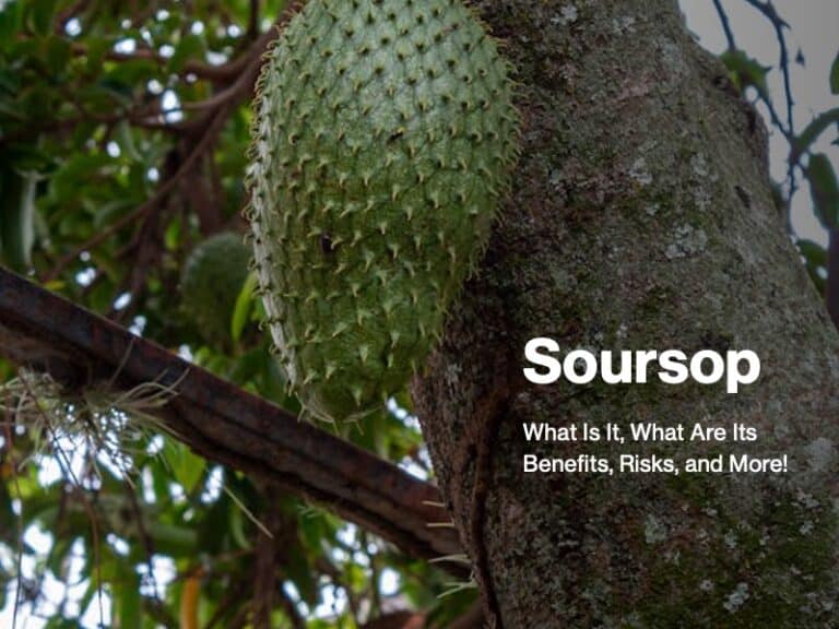 Soursop
