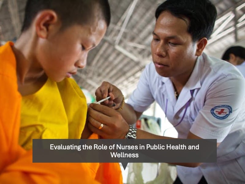 the Role of Nurses in Public Health