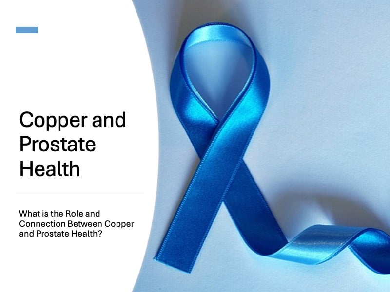 Copper and Prostate Health