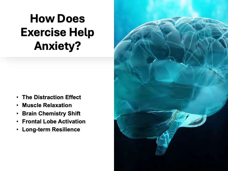 Does Exercise Help Anxiety
