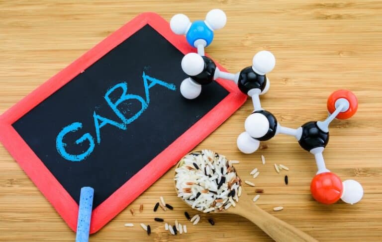 GABA