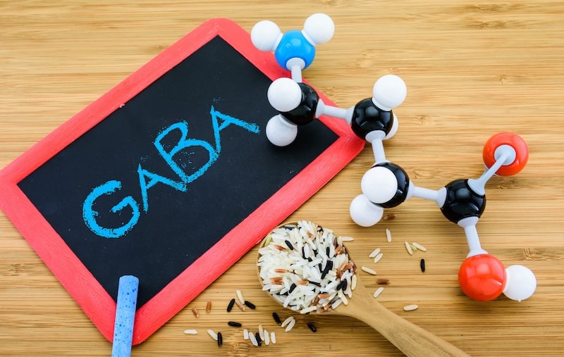 GABA
