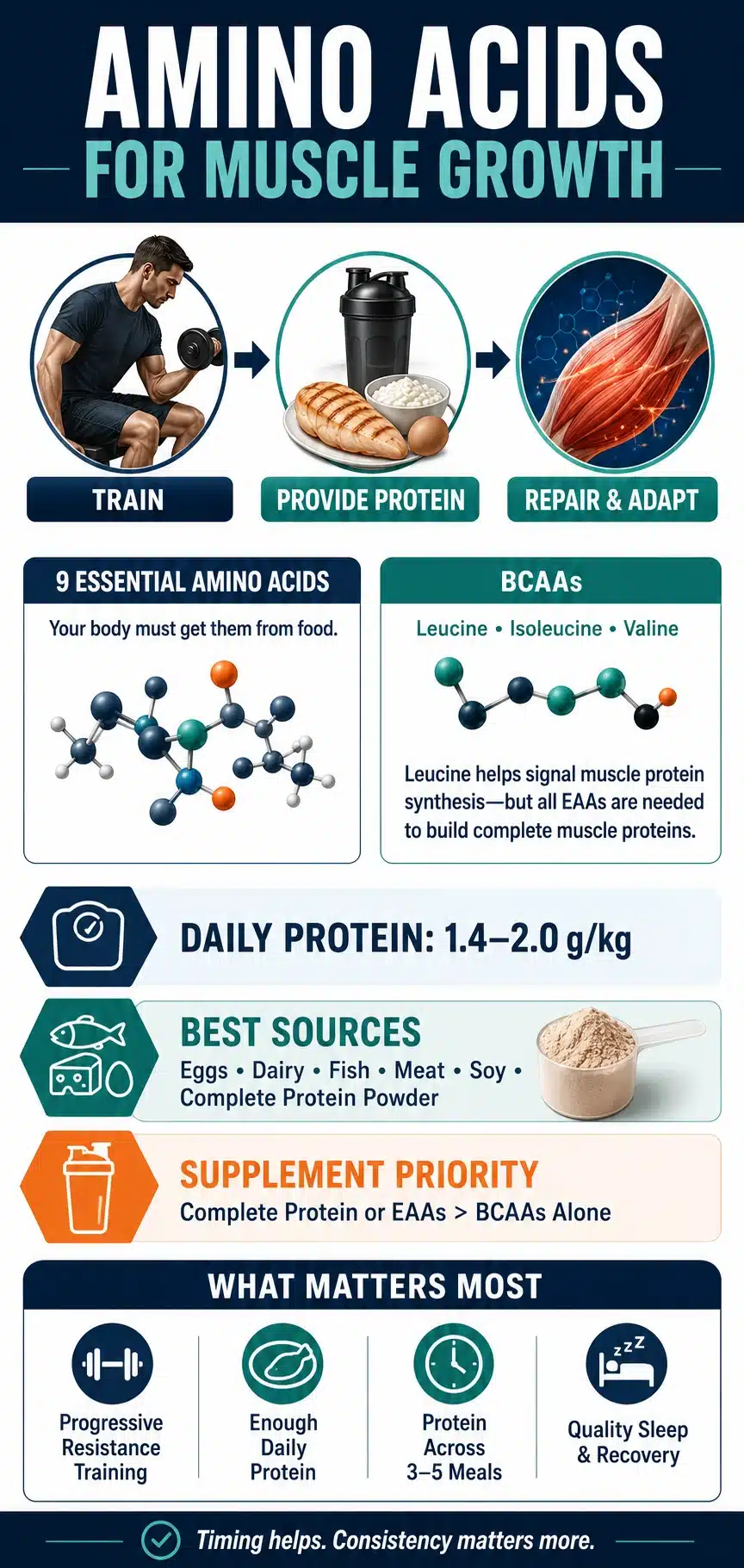 Amino Acids for Muscle Building Infographic
