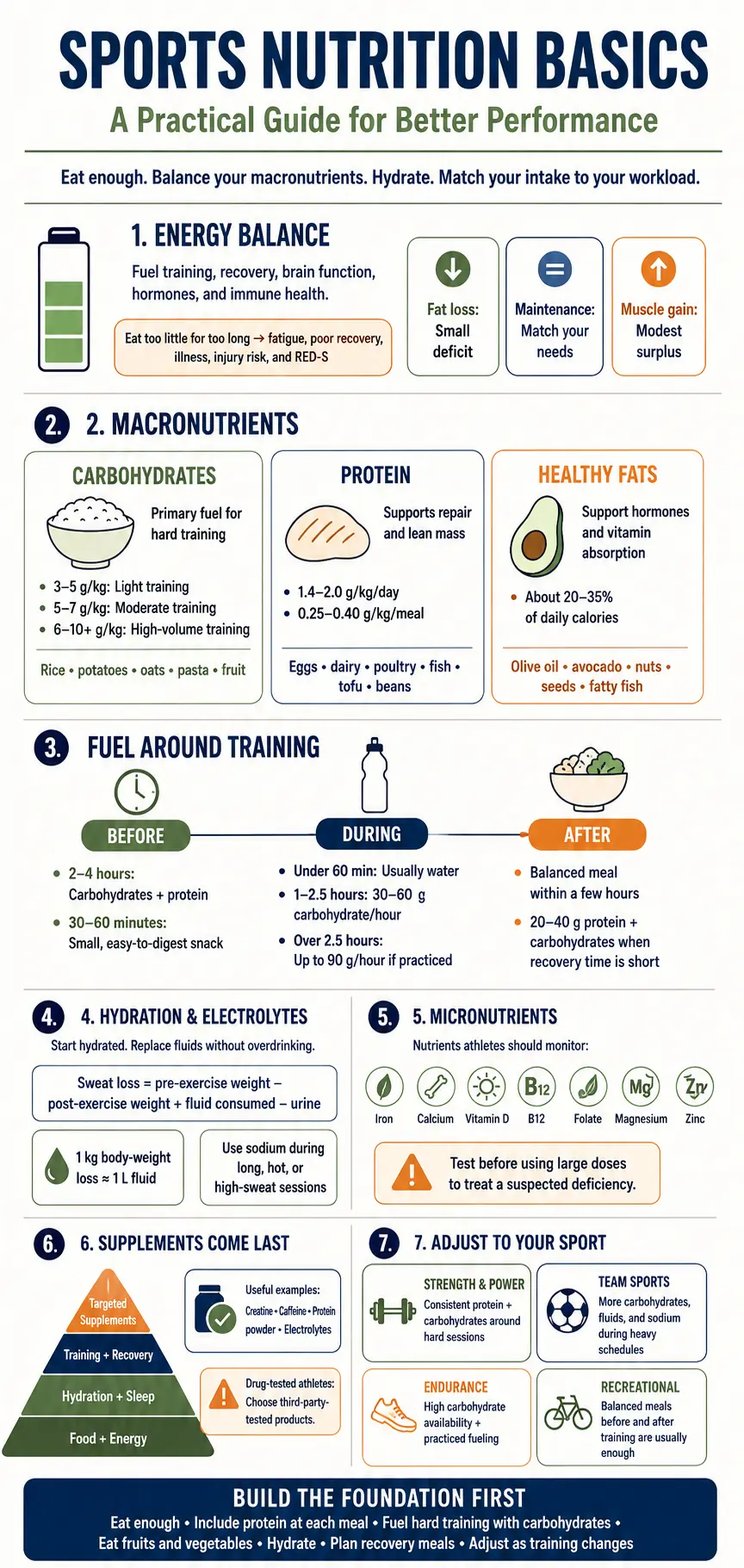 Sports Nutrition Basics Infographic