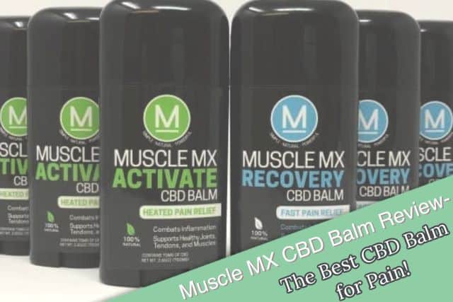 Muscle MX Review
