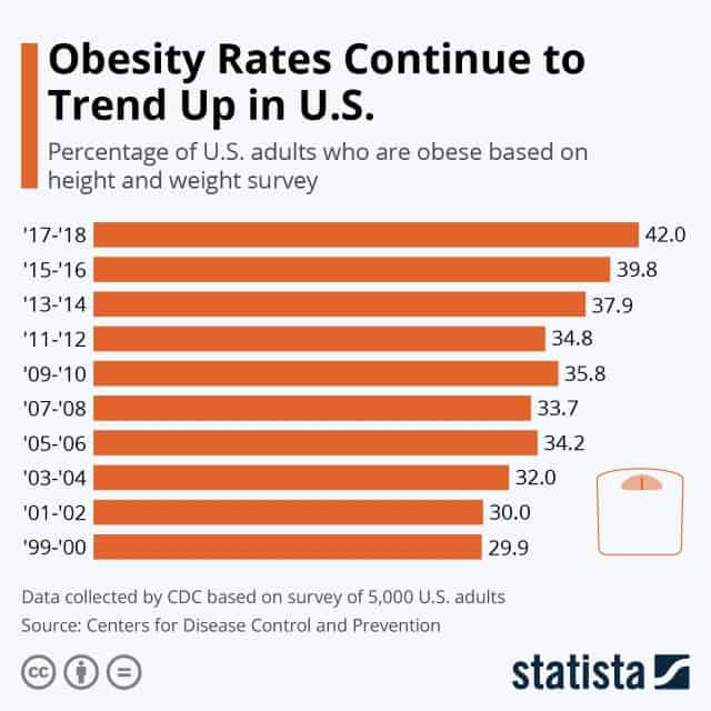 United States Obesity Rates Trends